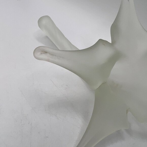 ture - Picture 2 of 9